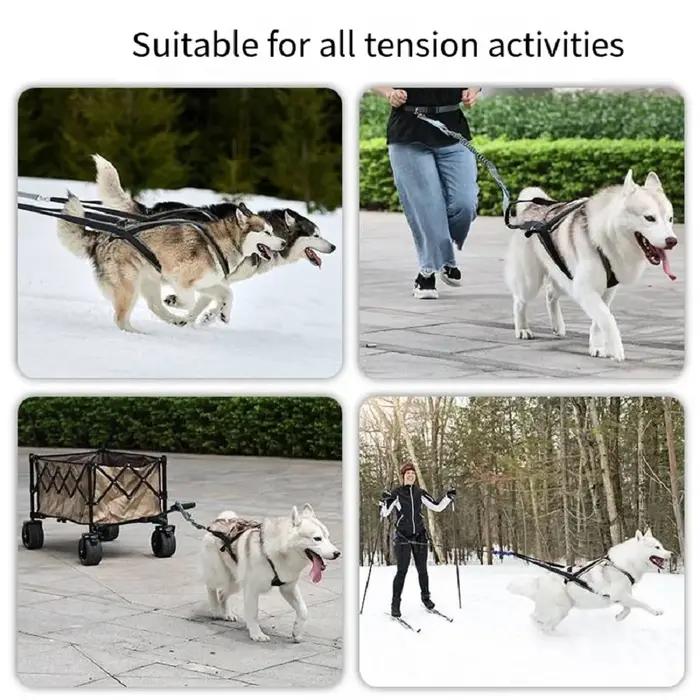Ensemble de harnais et de laisse en nylon pour chiens de taille moyenne et grande adapté aux promenades et au traînage toute l'année