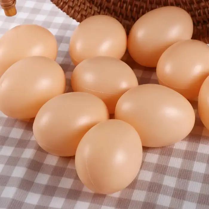 Oies de canard pour l'élevage de poussins