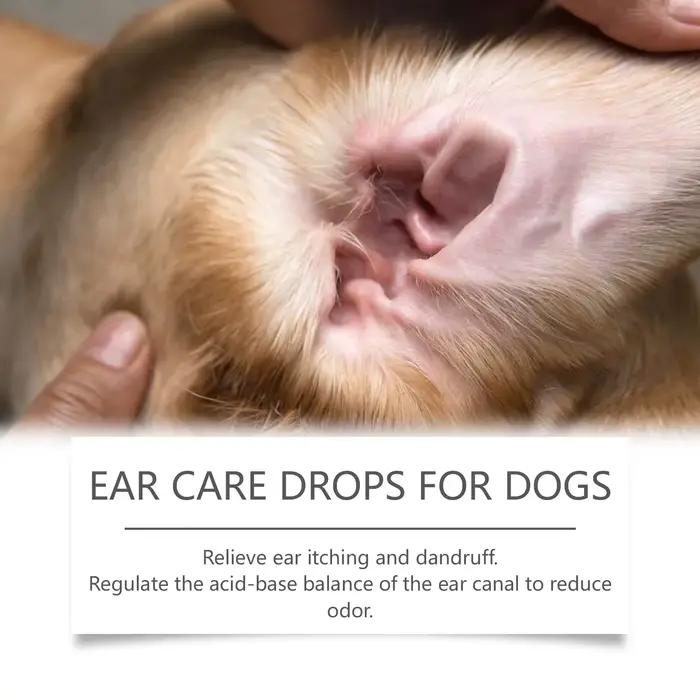 Gouttes de soin des oreilles de chien