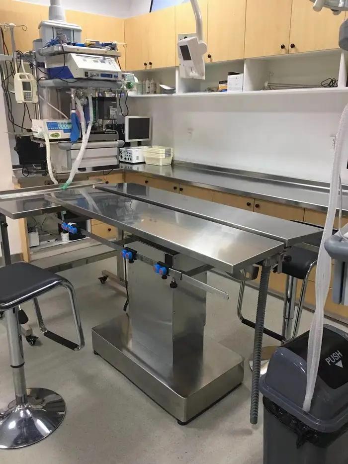 Table d'opération en acier inoxydable 304 pour animaux de compagnie ajustable haute qualité pour soins médicaux vétérinaires occasions spéciales