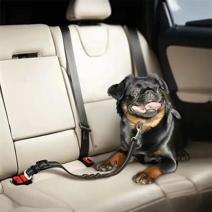 Ceinture de sécurité de voiture spécifique pour chien. Sangle réfléchissante pour véhicules. Corde extensible élastique. Convient aux animaux de petite et moyenne taille