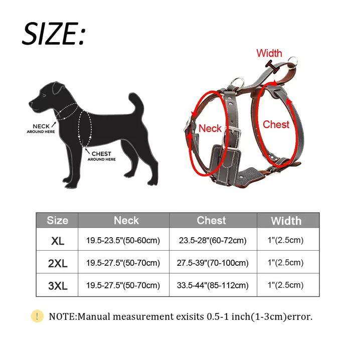 SFP Grand Chien Durable en Cuir group