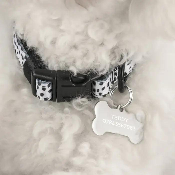 Étiquette d'identification de chien en acier inoxydable, gravée de nom et numéro de téléphone, personnalisée avec forme de patte, disponible en plusieurs couleurs et tailles pour animaux de compagnie