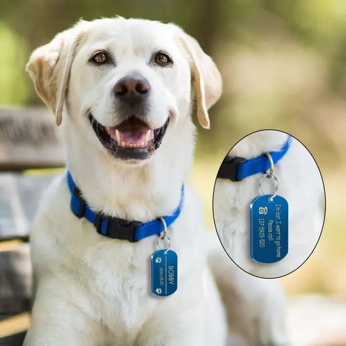 Étiquette d'identification de chien militaire en métal