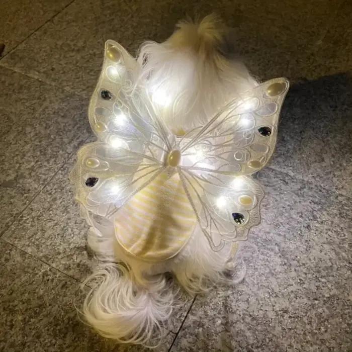 Décoration dorsale lumineuse pour chien
