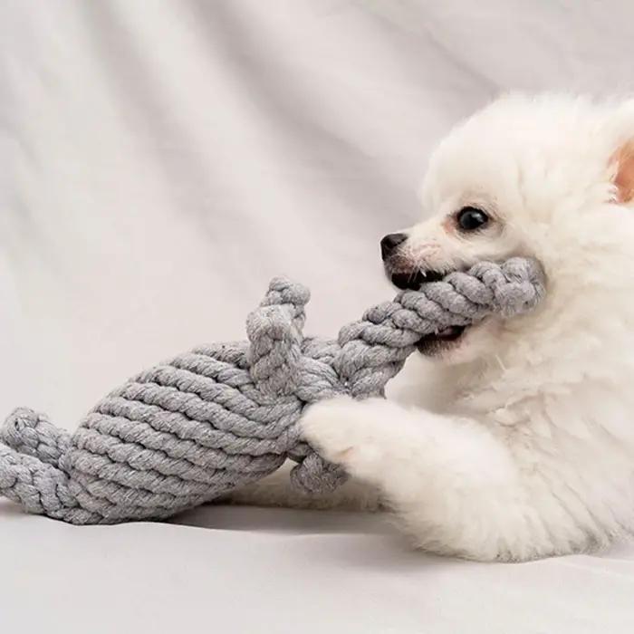 Corde tissée à la main en lin pour chiens de petite et moyenne taille jouets dents meulage occassions spéciales anniversaire nouveau membre famille