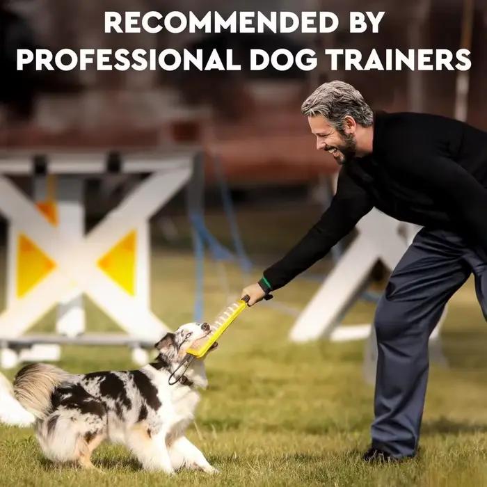 Jouets d'entraînement pour chiens