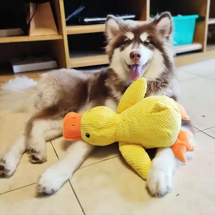 Peluche interactive Hot Dog avec jouets de canard pour soulager l'ennui des petits chiots, poupée en peluche à câliner en forme de canard jaune