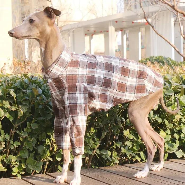 Manteau de printemps à manches longues en coton vert pour chiens mi-chiens