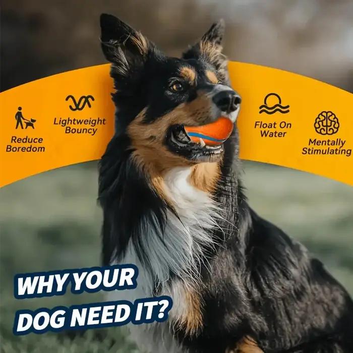 Jouet interactif de balle gonflable en caoutchouc pour chien, pour l'entraînement et soulager l'ennui, jouet à mâcher pour nettoyer les dents, jouets pour animaux de compagnie pour tous les chiens