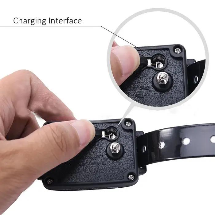 Pour 2 chiens clôture électrique statique complète pour chien