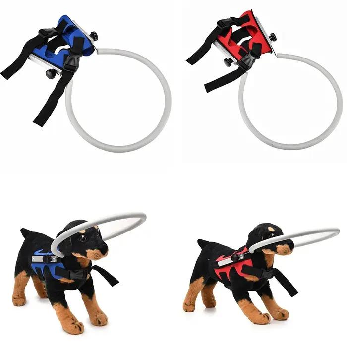 Collier anti-collision aveugle pour animaux de compagnie