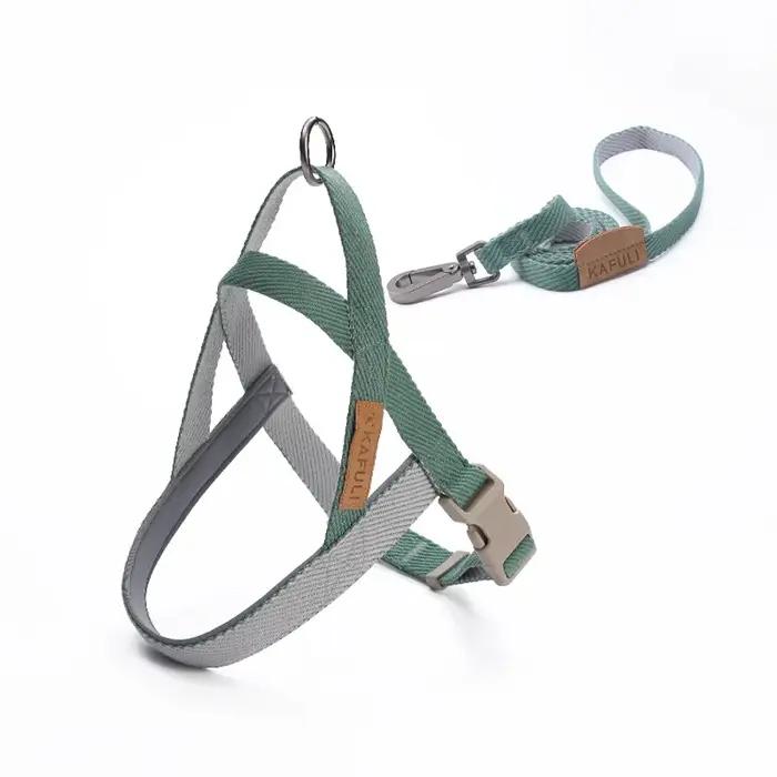 Ensemble de laisse et harnais pour chien, harnais de selle réglable et confortable avec laisse de ma