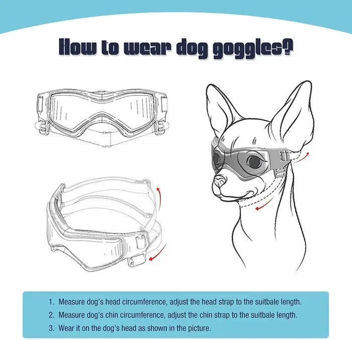 Lunettes de protection UV pour chiens et chats