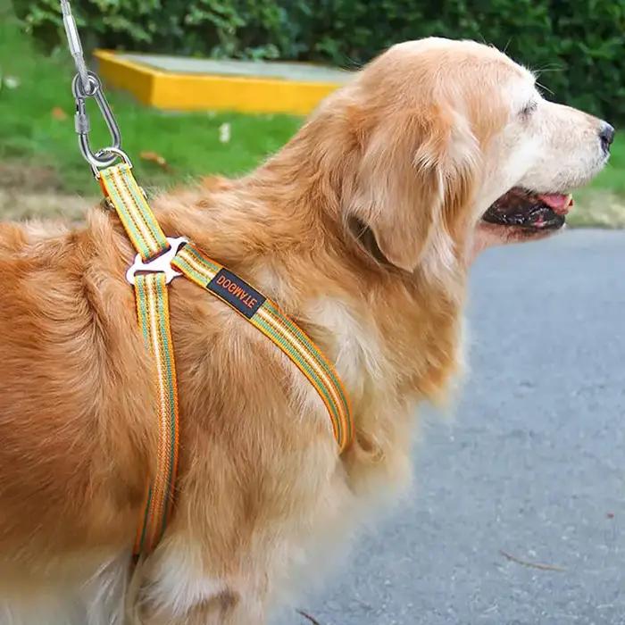 Laisse de câble d'arrimage pour chien à Double tête