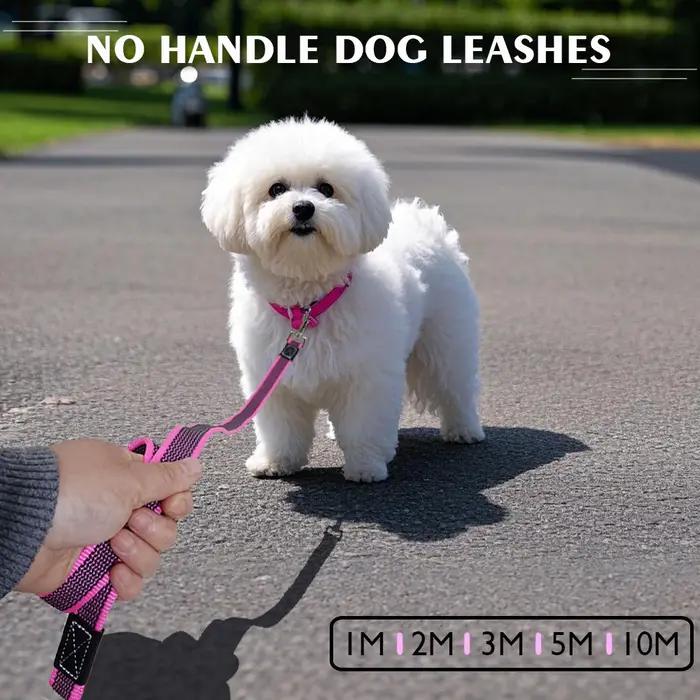 Laisse longue pour chien 10M 5M sans poignée corde pour animaux de compagnie 3M 2M 1M antidérapante facile et pratique la lumière laisses d'entraînement sangle pour chiot 10 mètres