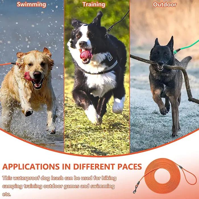 Laisse pour chien longue laisses en PVC entraînement Durable rappel