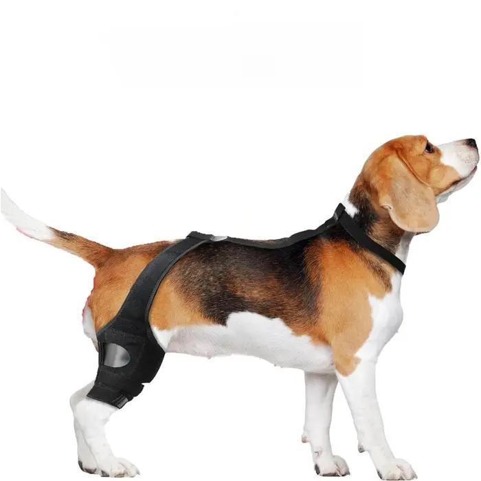 Supports de genouillère pour chien, meilleure récupération ACL des jambes pour chiens, attelles respirantes pour animaux de compagnie après une chirurgie des blessures