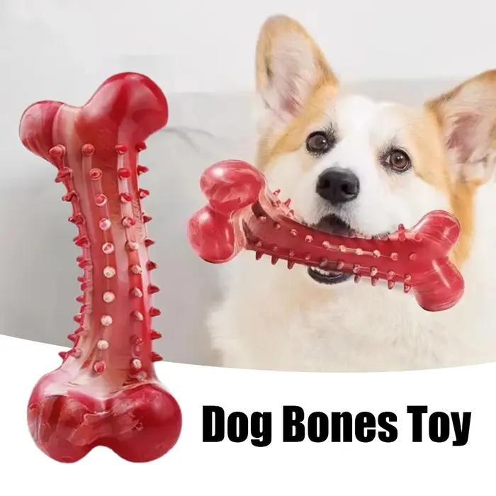 Jouets pour chiens, affûtage des dents