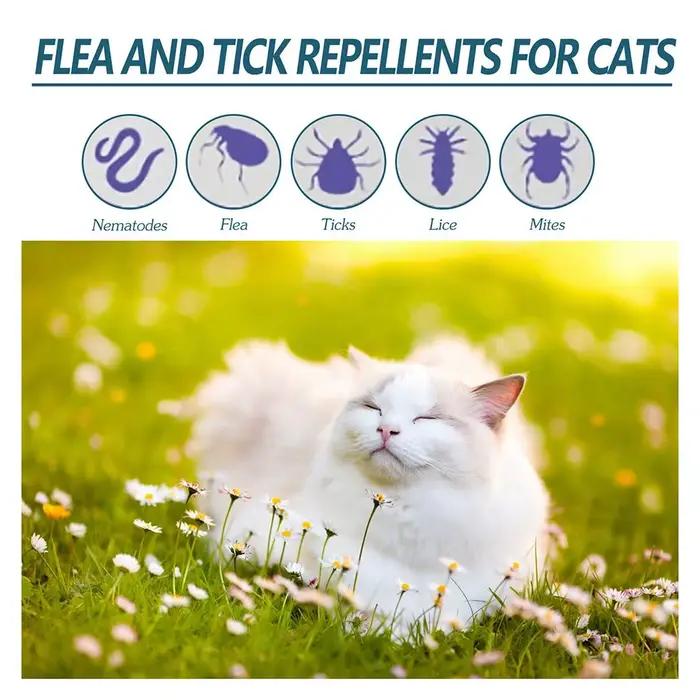 Gouttes anti-puces pour animaux de compagnie