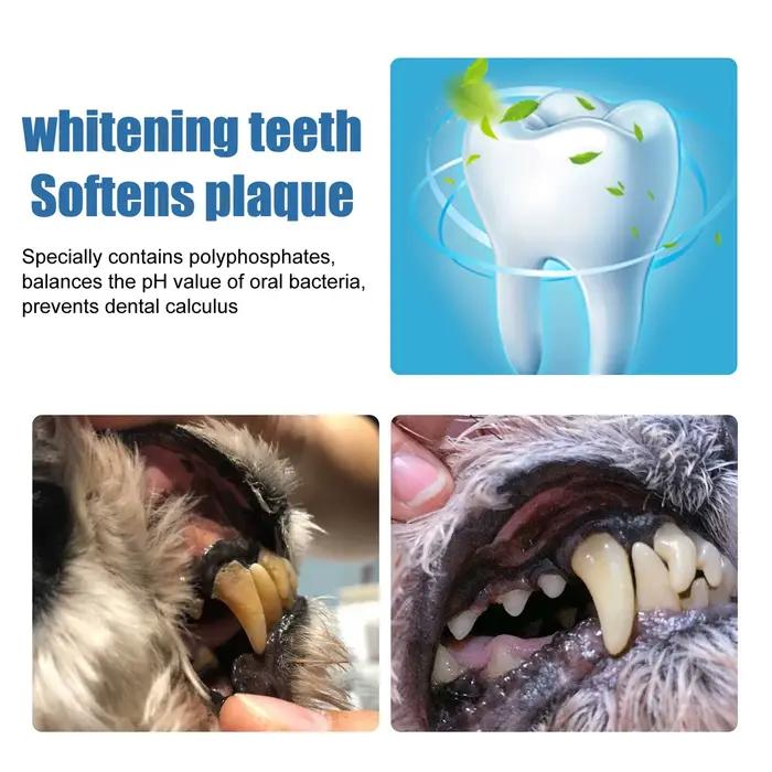 Mousse de soin buccal pour animaux de compagnie