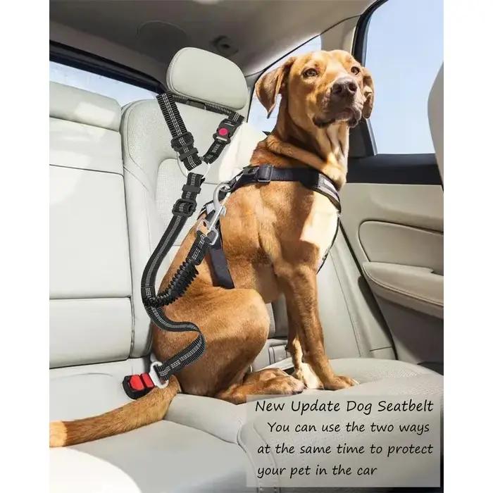 Ceinture de sécurité pour chien