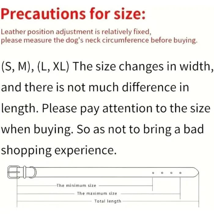 Collier personnalisé pour animaux de compagnie avec étiquette nominative personnalisée