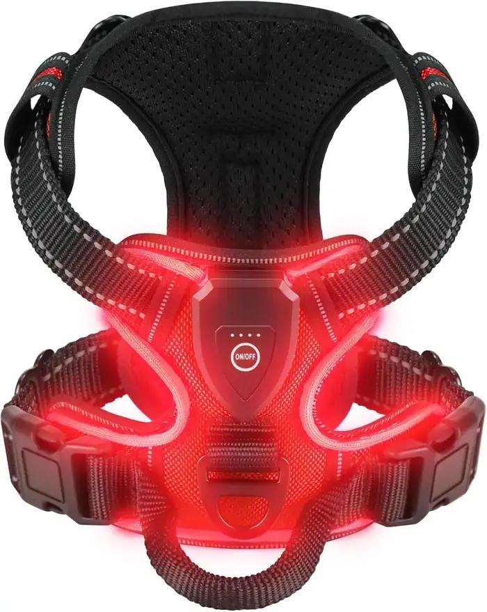 Harnais lumineux LED pour chien sécurité nocturne modes d'éclairage rechargeable confortable pour promenade chiens occasions spéciales
