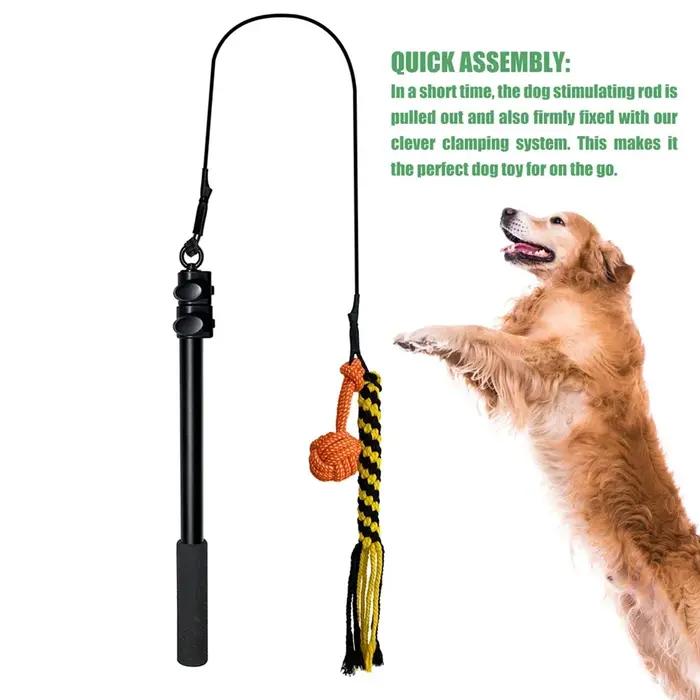 Jouet à mâcher pour chien résistant aux morsures