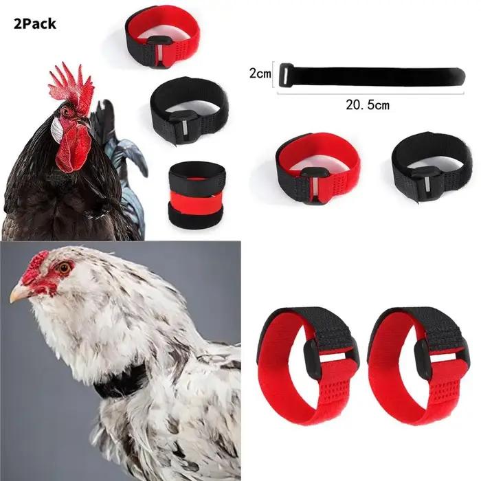 2x collier de coq Anti corbeau empêcher le poulet hurlant pour coq
