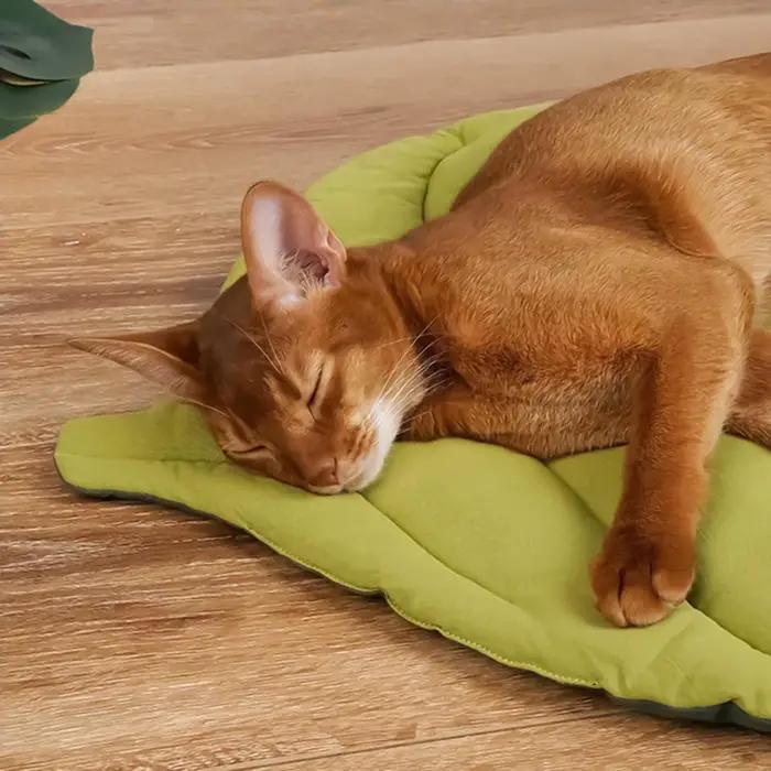 Tapis rafraîchissant pour chien et chat