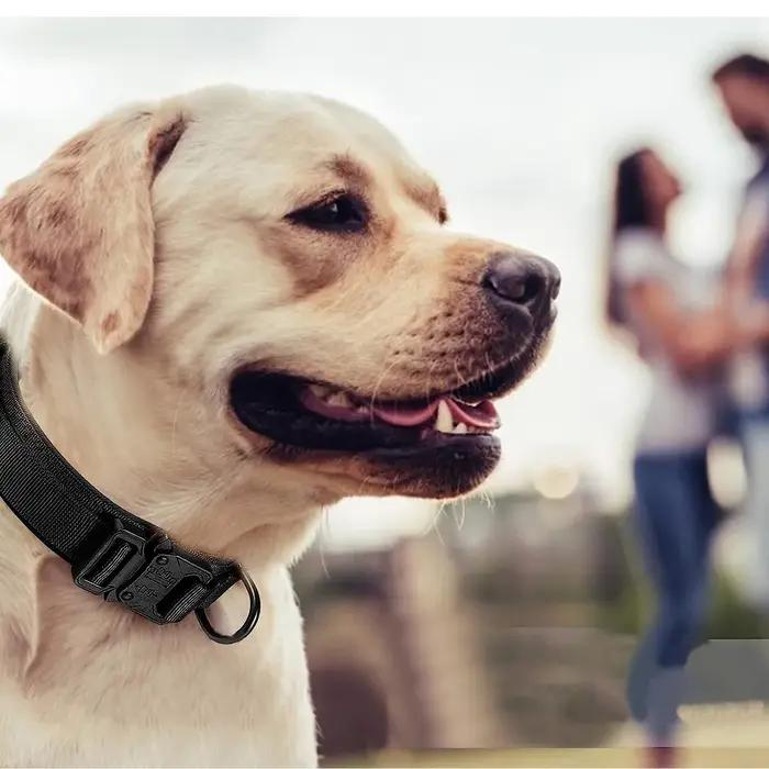 Ensemble collier et laisse tactique robuste pour chien collier militaire avec poignée et boucle en métal pour petites moyennes et grandes tailles chiens