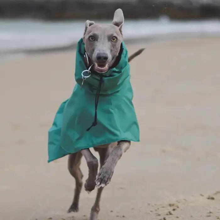 Veste imperméable pour chiens en polyester confortable et respirante pour sorties et promenades en plein air en été et en hiver