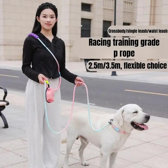 Laisse pour chien, ceinture pour animaux de compagnie