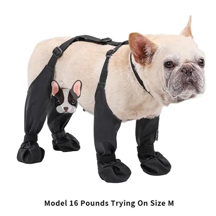 Meilleures chaussures antidérapantes pour chien, protège-pattes pour animaux de compagnie, bottes de