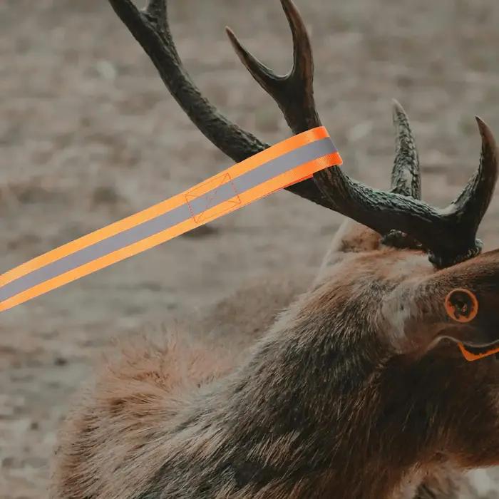 Corde de traction cerf réfléchissante avec poignée - Équipement robuste pour déplacer le gibier