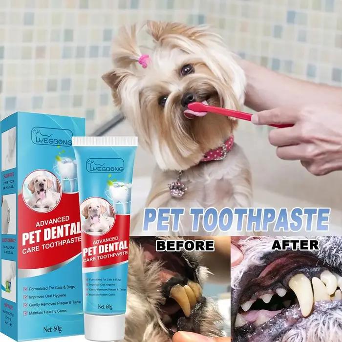 Dentifrice pour animaux de compagnie pour chats et chiens, pâte de soin buccal quotidienne pour rafr