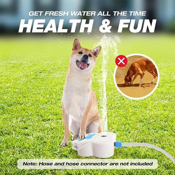 Jouet d'arrosage d'eau pour chien d'extérieur pour l'été