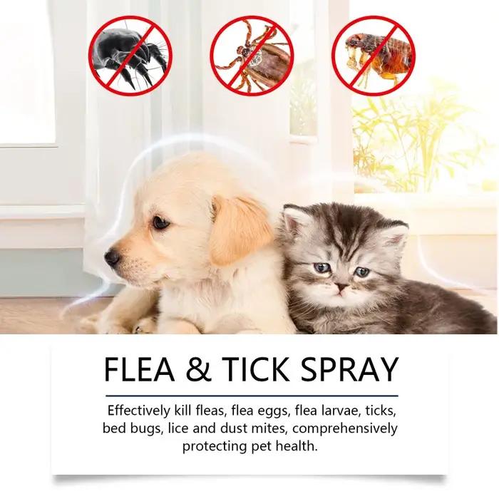Spray anti-puces doux pour animaux de compagnie, répulsif naturel à base de plantes contre les tiques pour chiens et chats, nettoyage des parasites d'intérieur pour animaux domestiques