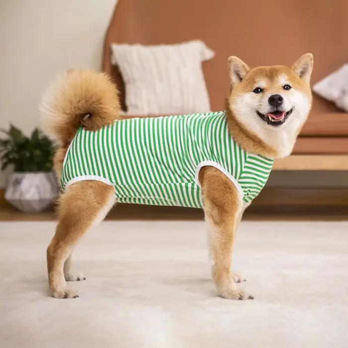 Combinaison de récupération pour chien pour après chirurgie