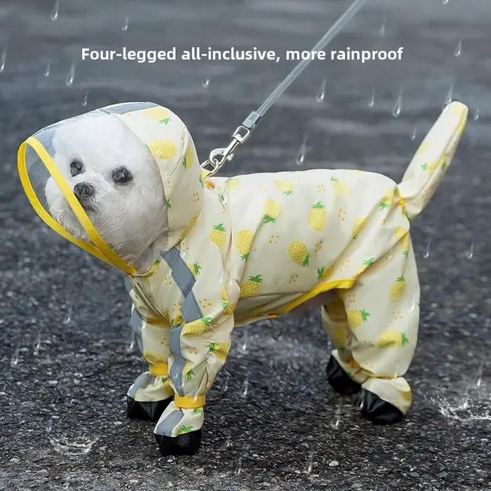 Poncho de sortie pour petit chien, imperméable pour animaux de compagnie à quatre pattes, tout compris, saison de pluie, vêtements pour animaux de compagnie, nounours, Bigbear