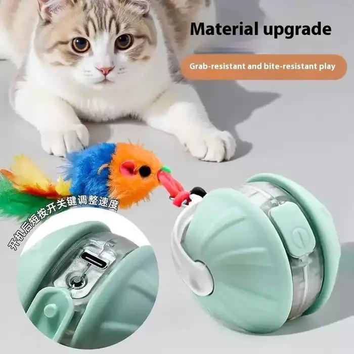 Jouets interactifs pour chiens