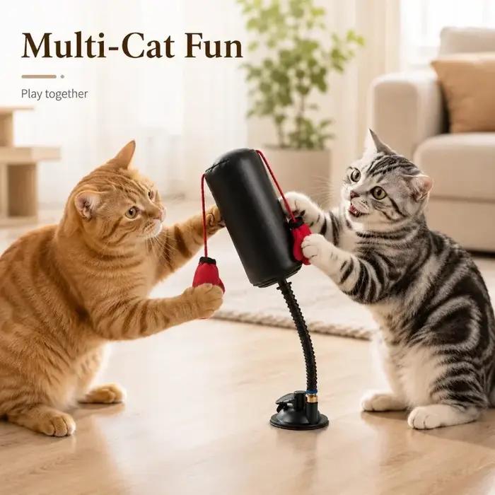 Jouet de boxe interactif pour chat avec gants