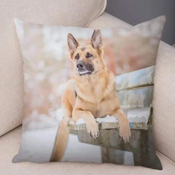 Taie d'oreiller décorative imprimée chien berger