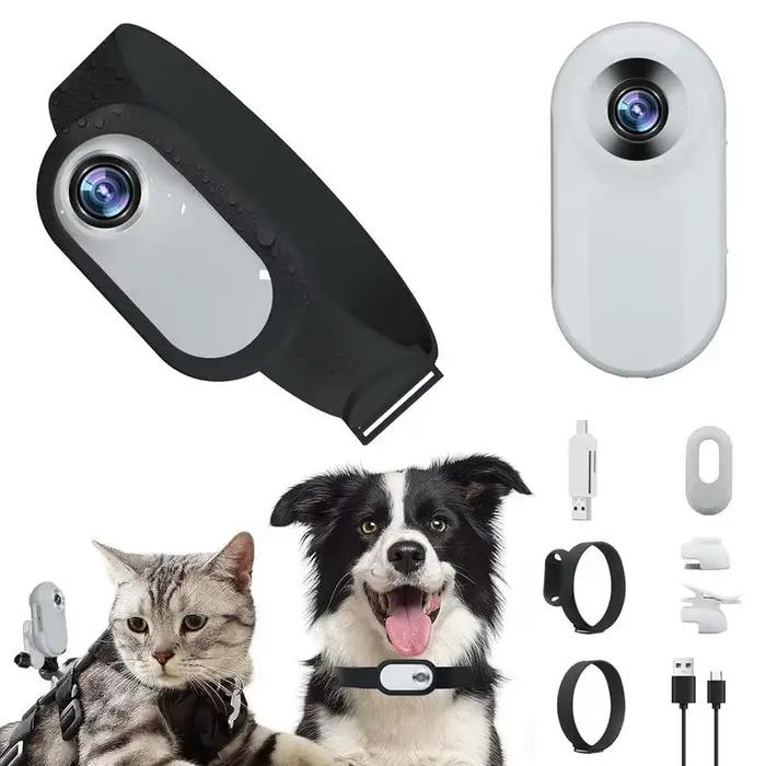 Caméra de suivi de chien HD 1080P pour chats collier photo enregistrement sportif sécurité animal de compagnie occasions spéciales