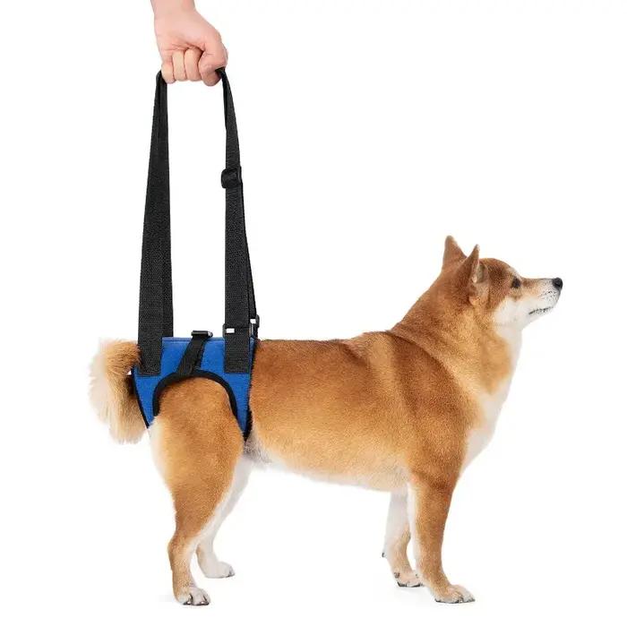 Harnais de soutien des jambes arrière pour chien senior