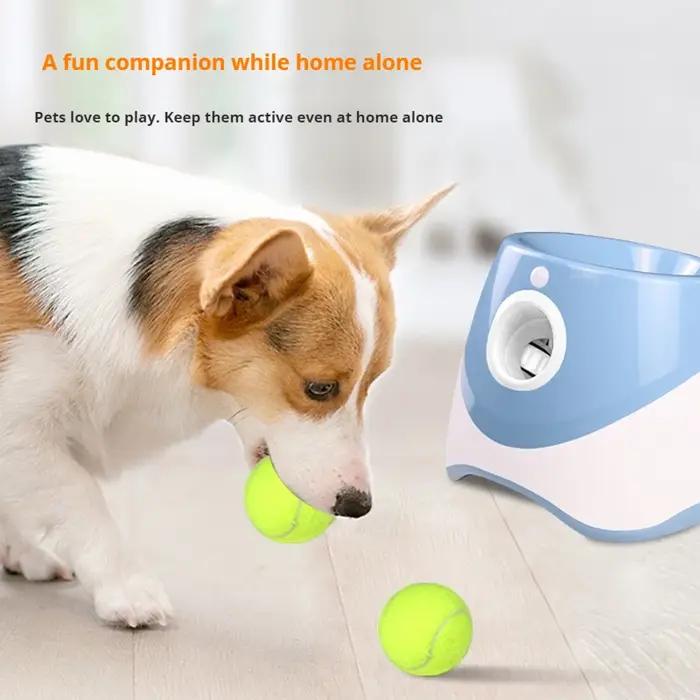 Lanceur de balles automatique pour chiens et chats