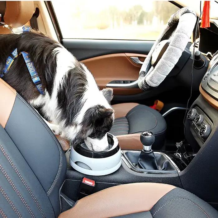 Bols flottants pour chiens de compagnie