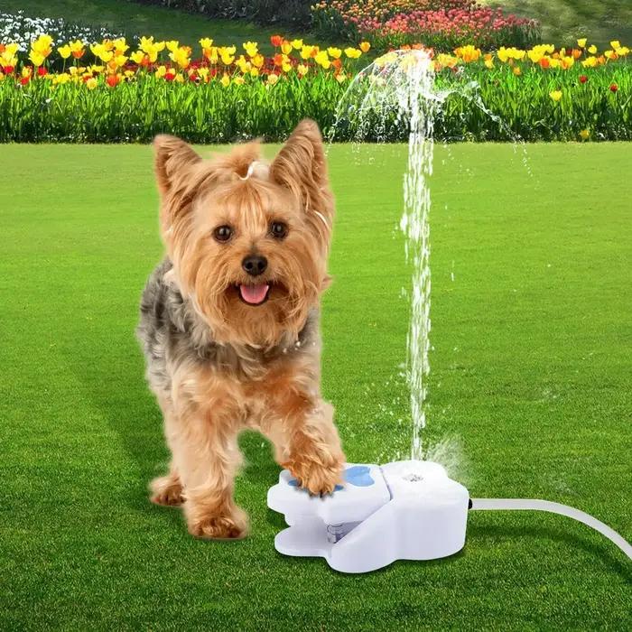 Fontaine à eau pour animaux de compagnie à activation par patte