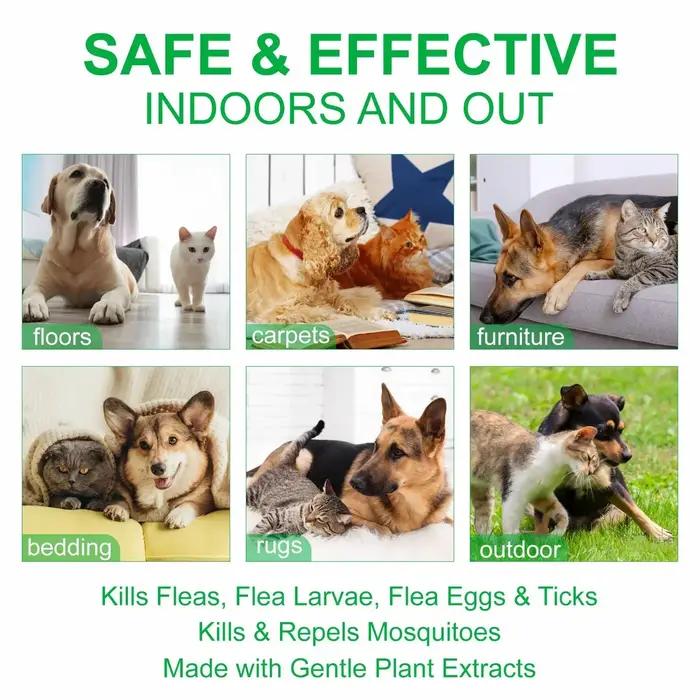 Spray anti-puces topique naturel pour chiens et chats avec huile de menthe poivrée pour protection et fraîcheur durable
